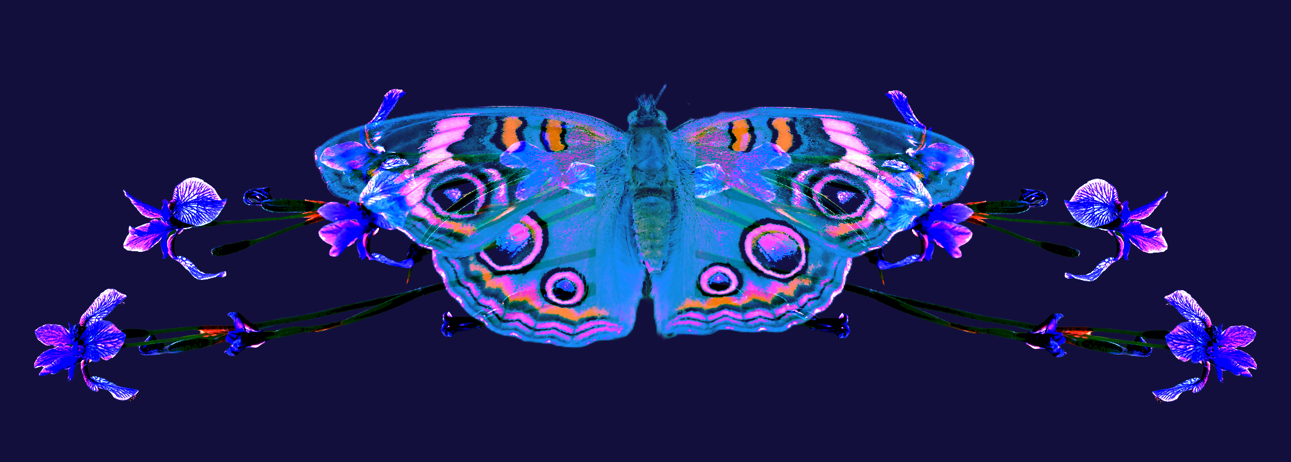 Original Art banner image